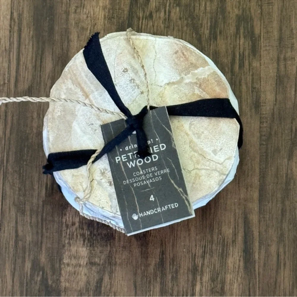 West Elm Petrified coasters set of 4